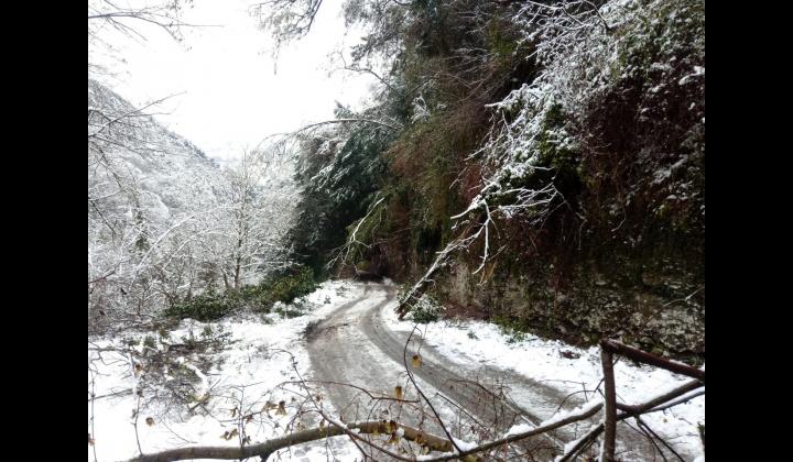 Chiusura Strada della Forra di Tremosine Chiusura Strada della Forra di Tremosine