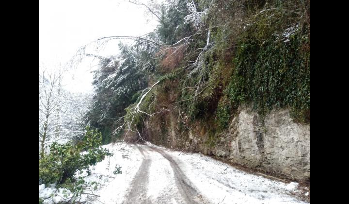 Chiusura Strada della Forra di Tremosine Chiusura Strada della Forra di Tremosine